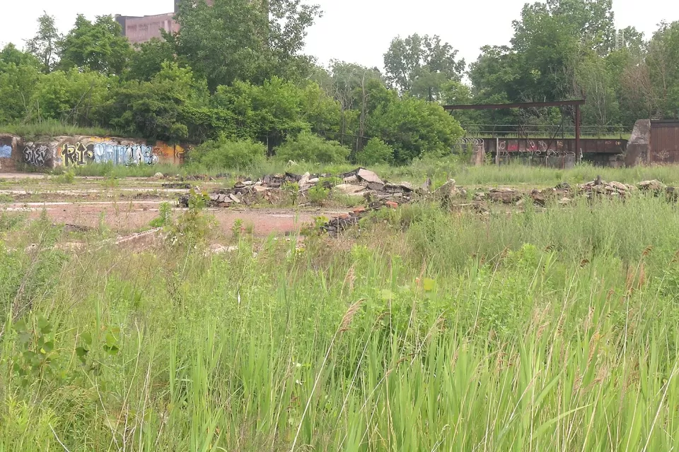 Vacant grassy lot with some cemet debris in Detroit, Michigan